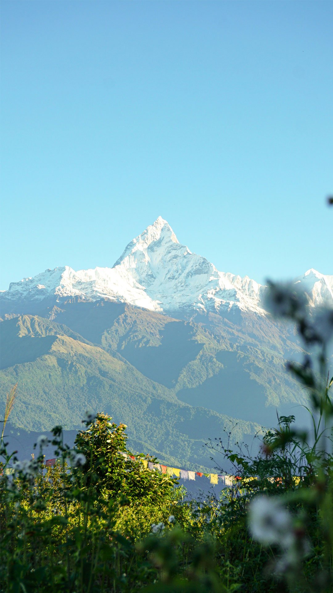 nepal (2)